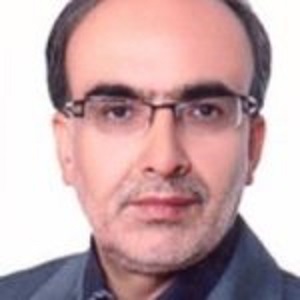 دکتر سید علی اکبر حسینی