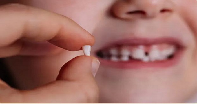 چگونه بفهمیم دندان شیری است یا دائمی؟