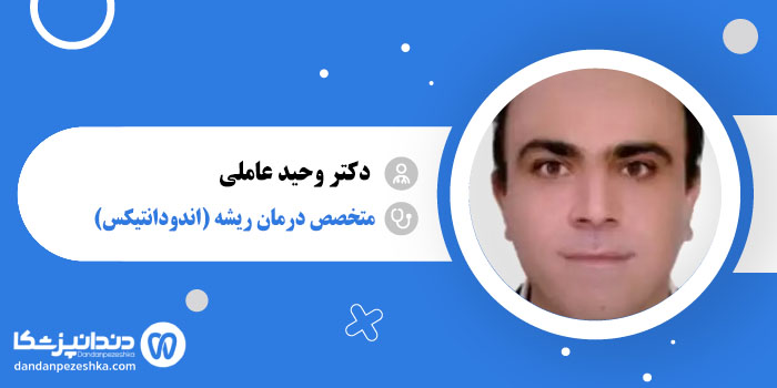 دکتر وحید عاملی