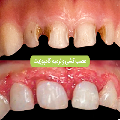 دکتر فائزه مجرد حمزه‌ای