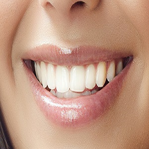 دکتر نیلوفر کثیری
